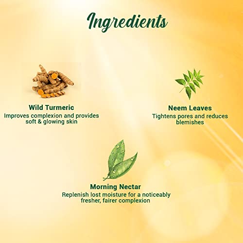 Biotique Morning Nectar Sun Protect Moisturizer SPF 30 UVA/UVB Sunscreen| Contains Wild Turmeric, Neem Leaves, & Morning Nectar | Visibly Flawless Skin | Suitable for All Skin Types | 120 ml