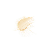 Translucent Powder - 06 (10 gm)