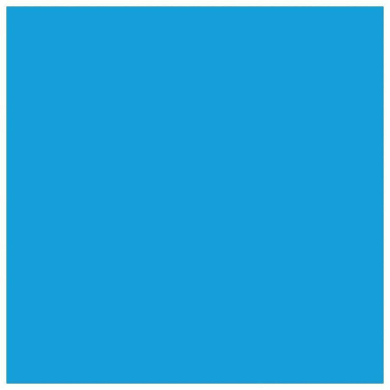 EPSON 69 DURABrite Ultra Ink Cyan For CX-6000, CX-7000F, CX-7400, CX-8400, CX-9400, CX-9475, NX-400, NX-415, NX-510, NX-515, WF-1100, WF-500, WF-600, WF-610, WF-615 and other select models