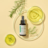 Spring H2O 100% Pure & Natural | Organic Tea Tree Essential Oil | For Face, Back Acne, Scalp & Dandruff Care | Multipurpose Oil For Healthy Skin & Hair
