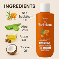 TryOnes Sea Buckthorn Shampoo for New Hair Growth & Strong Hair | Paraben-Free, Suitable for All Hair Types – 250ml[NEW 1]