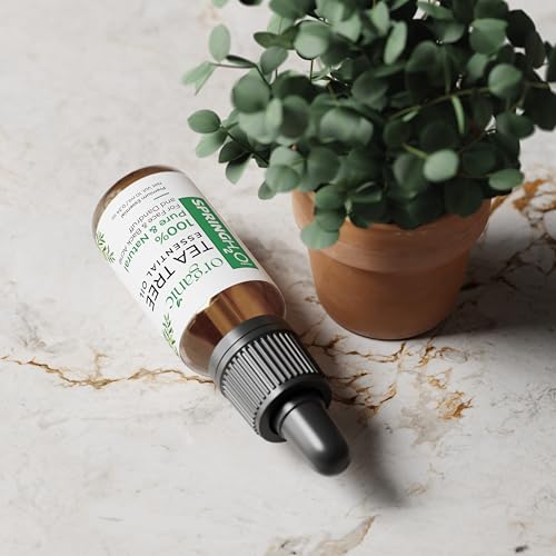 Spring H2O 100% Pure & Natural | Organic Tea Tree Essential Oil | For Face, Back Acne, Scalp & Dandruff Care | Multipurpose Oil For Healthy Skin & Hair