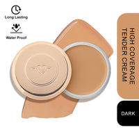 Daily Life Forever52 High Coverage All Skin Tender Cream (Ashlye-04, 18G)