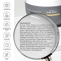 Bare Anatomy Scalp Scrub with Natural AHAs, Coconut & Sugar | Get Up To 99% Dandruff Reduction | Dandruff Remover | Oily Scalp Exfoliator Hair Scrub | Sulphate & Paraben Free | For Women & Men | 250g