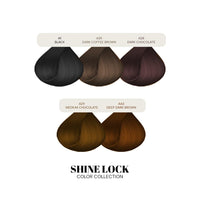 Berina Professional | Permanent Hair Color Cream | 60gm | A01 Black | Long Lasting Color