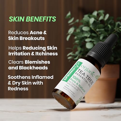 Spring H2O 100% Pure & Natural | Organic Tea Tree Essential Oil | For Face, Back Acne, Scalp & Dandruff Care | Multipurpose Oil For Healthy Skin & Hair