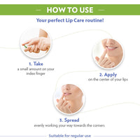 Vaseline Lip Tins Aloe|| 17g | Infused with Aloe Extracts for Lip Hydration & Natural Shine