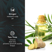 Ustraa Hair Serum Anti-Dandruff - 200ml | Fights Dandruff with Tea Tree & Ginger | Maintains scalp pH | Prevents growth of dandruff-causing microorganisms| No Sulphates, No Paraben