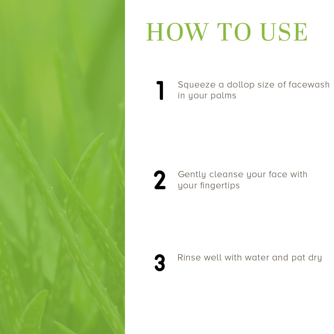 Khadi Natural Aloe Vera Face Wash for Detoxifying & Moisturizing Skin | Natural Face Wash for Healthy Skin | SLS & Paraben Free | All Skin Types | 100 ml