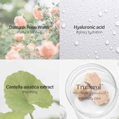 d'alba Piedmont Italian White Truffle Waterfull Tone-Up Sunscreen, Vegan Skincare, Tinted Moisturizer With Spf 50+ Pa++++, Glowy Sunscreen For Sensitive Skin, 1 Count