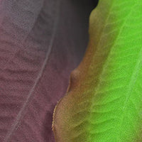 biOrb Silk Plant Set Medium Green & Purple Purple/Green