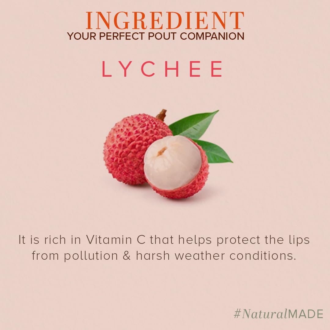 Khadi Natural Lychee Lip Balm With Beeswax & Shea Butter|For Soft & Hydrated Lips|Herbal Lip Balm For Chapped Lips|Free From Harsh Chemicals | Unisex | Pack Of 3 | (5*3) (15 Gm), Transparent