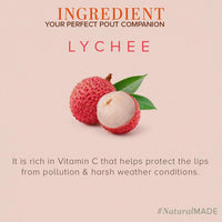 Khadi Natural Lychee Lip Balm With Beeswax & Shea Butter|For Soft & Hydrated Lips|Herbal Lip Balm For Chapped Lips|Free From Harsh Chemicals | Unisex | Pack Of 3 | (5*3) (15 Gm), Transparent