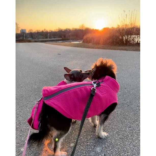 Gooby Zip Up Fleece Dog Sweater - Pink, Small - Warm Pullover Fleece Step-in Dog Jacket with Dual D Ring Leash - Winter Small Dog Sweater - Dog Clothes for Small Dogs Boy and Medium Dogs Small chest (~13.5")