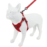 Best Pet Supplies Voyager Adjustable Dog Harness Leash Set with Reflective Stripes for Walking Heavy-Duty Full Body No Pull Vest with Leash D-Ring, Breathable All-Weather - Harness (Red), L