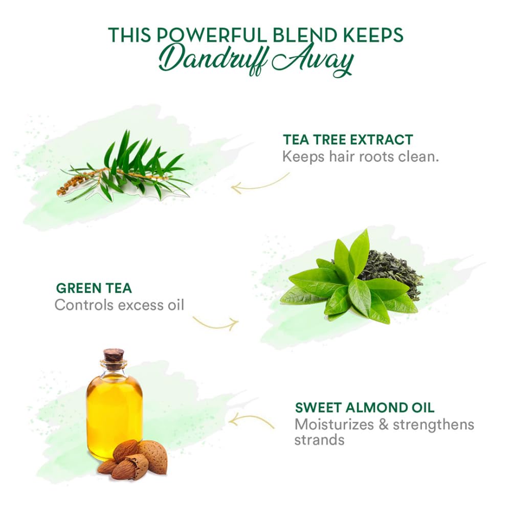 Wow Skin Science Green Tea & Tea Tree Anti-Dandruff Shampoo - No Sulphates, Parabens, Silicones, Color & Peg - 300 Ml