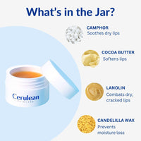 Cerulean SPF 20 Lip Balm for Dry and Chapped Lips with UV Protection | For Smooth Soft Lips | Lip Care With Camphor & Cocoa Butter | Repairs Damaged Lip Barrier | SPF 20 for Sun Damage and Discoloration | For Women & Men | Paraben & Fragrance-Free | 15gm