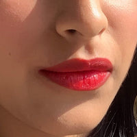 DAUGHTER EARTH Vegan Lip and Cheek Tint Combo | Matte Natural Blush for Women | Lip Tint with Vitamin E | Nourishing Cheek Tint | Pack of 2 | 4.5 gm Each (Foncee Red & Coffee Nude)