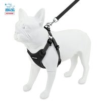 Best Pet Supplies Voyager Adjustable Dog Harness Leash Set with Reflective Stripes for Walking Heavy-Duty Full Body No Pull Vest with Leash D-Ring, Breathable All-Weather - Harness (Black), M