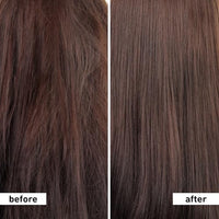 Plum Coconut Shampoo for Dull with Coconut Milk and Peptides for Soft & Silky I 22x Softer I Shampoo for Women and Men | 500 ml (Pack of 2)