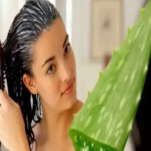 KAZIMA Combo of Aloe Vera Gel 1Kg & Tea Tree Essential Oil 15ml - 100% Pure & Natural for Skin, Face, Acne Scars, Hair, Moisturizer & Dark Circles (Combo of 2)