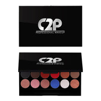 C2P Pro Metal & Matte Eyeshadow Palette, Smooth, Blendable & Creamy Texture, Long Lasting & Full Coverage with Versatile Shades Eyeshadow Kit, 20 grams