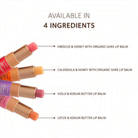 SoulTree Ayurvedic Lip Balm with Viola & Kokum Butter – Nourishing, Softening, and Moisturizing for Smooth, Supple Lips – 3.5g