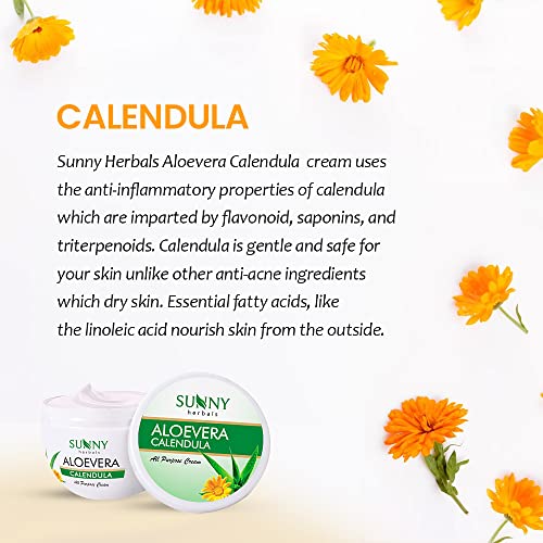 Bakson Sunny Aloevera & Calendula All Purpose Face Cream | Helps Prevent Scarring, Sunburn | Calendula Suitable For Delicate Skin | 500 gm