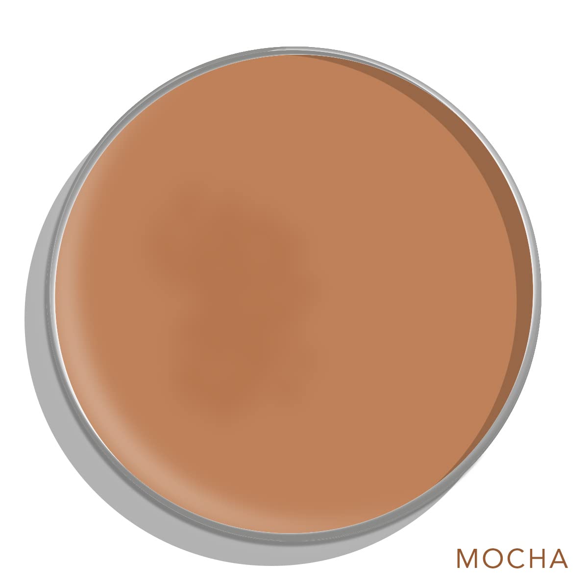 DAUGHTER EARTH High Coverage Concealer For Face Makeup, Lightweight & Breathable Silicone Free 100% Vegan Make Up, Creaseless Finish | Pro Concealer With Bakuchiol | Mocha, Natural, Powder