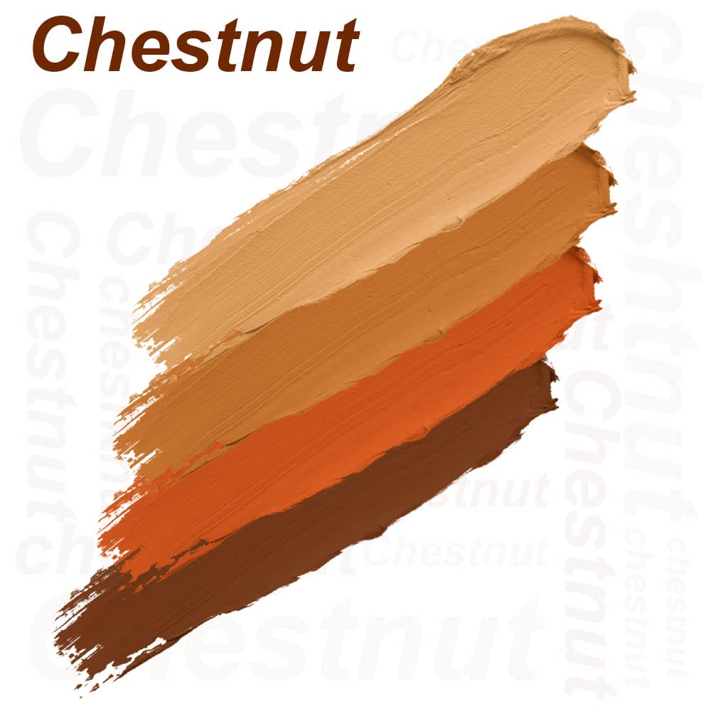 Daily Life Forever52 Matte Finish 4 Color Shades Concealer Kit Multipurpose creamy, lightweight Easy-To-Blend Hydrating Formula For Smooth Long Lasting Natural Finish Perfect Look AC003
