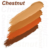 Daily Life Forever52 Matte Finish 4 Color Shades Concealer Kit Multipurpose creamy, lightweight Easy-To-Blend Hydrating Formula For Smooth Long Lasting Natural Finish Perfect Look AC003