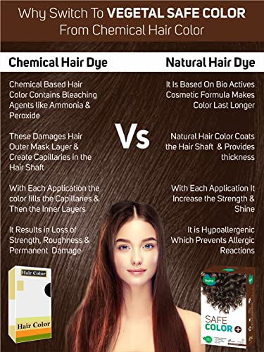 Vegetal Safe Hair Color -Dark Brown 25gm - Certified Organic Chemical and Allergy Free Bio Natural Beard Hair Color with No Ammonia Formula & PPD