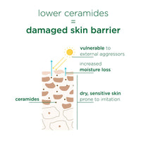 Simple Active Skin Barrier Care Restorative Rich Cream 40g | with 22% ceramide boosters & cica | renews and repairs the skin barrier