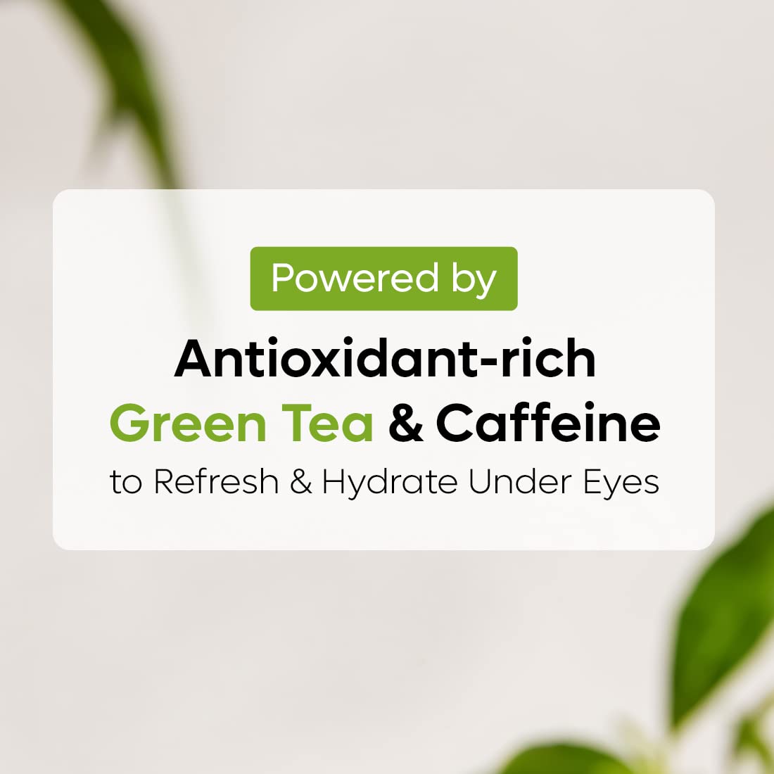 mCaffeine Fine Lines Reduction & Dark Circles Removal Duo | Enriched with Green Tea & Caffeine | Under Eye Cream & Hydrogel Under Eye Patches Combo for Women and Men | Value Pack