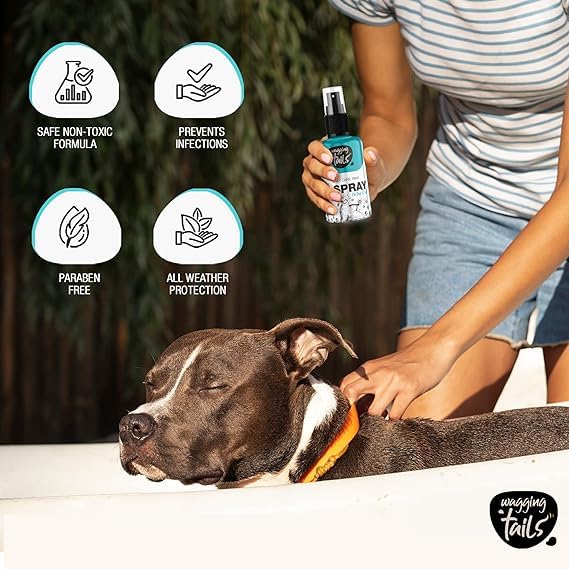 Wagging Tails Daily Care Paw Spray for Summer Walk- 100ml for Dirty, Dry, chapped and Muddy Paws | Natural Spray with Fragrance for Dogs, Cats and Puppies paw - Dog paw Clener Spray