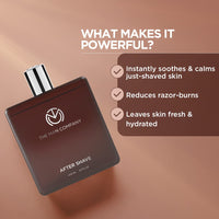 The Man Company After Shave Spray For Men with Aloevera & Menthol | Soothes, Calm, Fresh Skin | Post Shave Spray Lotion - 100ml