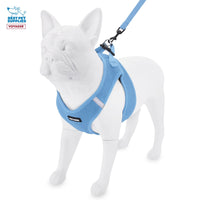 Voyager Step-in Air Cat Harness - All Weather Mesh Step in Vest Harness for Small and Medium Cats by Best Pet Supplies - Set (Baby Blue), XXS