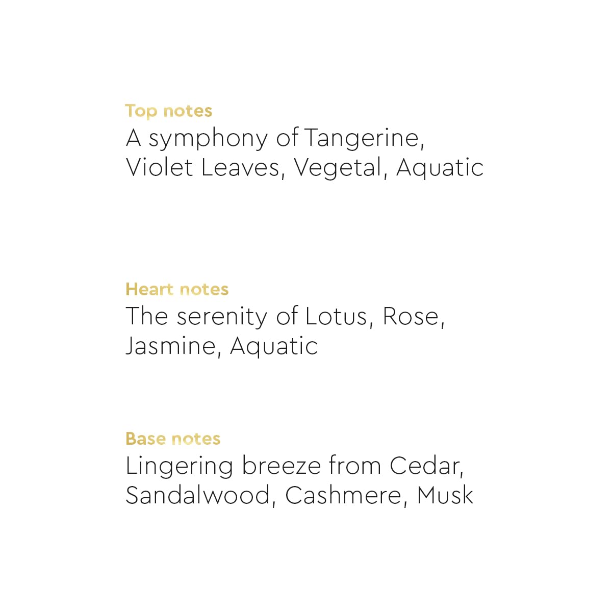 VLCC Clinic Body Mist "Queen Bee" - 200ml | Fresh, Woody, Citrusy Fragrance | Long Lasting Body Mist | Long Lasting Fragrance | Symbol of Elegancy | Paraben Free