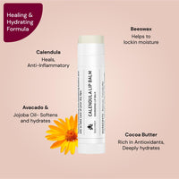 SUGANDA CALENDULA LIP BALM | with COCOA BUTTER & AVOCADO| NOURSHING Lip Oil for DRY CHAPPED LIPS | Lip care to HEAL CRACKED AND WOUNDED LIPS | RETAIS MOISTURE | Winter care moisturizer | 4g - White