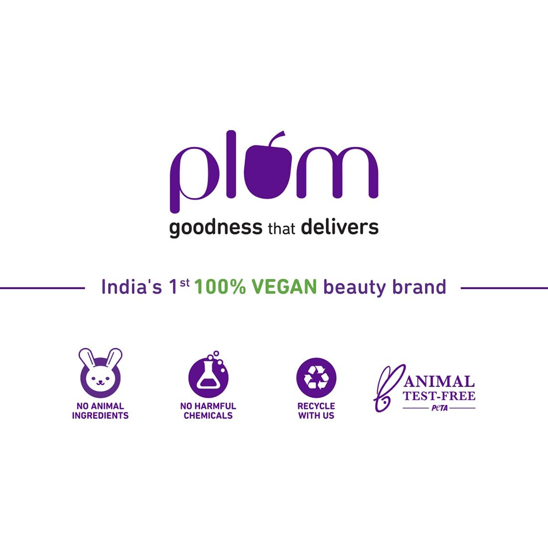 Plum Soft Blend Foundation Brush | Ultra-soft Bristles | Flawless Application | Easy Pick-up | 01