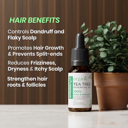 Spring H2O 100% Pure & Natural | Organic Tea Tree Essential Oil | For Face, Back Acne, Scalp & Dandruff Care | Multipurpose Oil For Healthy Skin & Hair