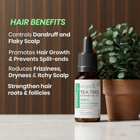 Spring H2O 100% Pure & Natural | Organic Tea Tree Essential Oil | For Face, Back Acne, Scalp & Dandruff Care | Multipurpose Oil For Healthy Skin & Hair