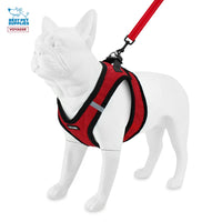 Voyager Step-in Plush Dog Harness  Soft Plush, Step in Vest Harness and Reflective Dog 5 ft Leash Combo with Neoprene Handle for Small and Medium Dogs by Best Pet Supplies -Set (Red Plush), S