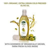 INDUS VALLEY Hibiscus Powder | Hibiscus rosa-sinensis - 100% Organic, Pure and Natural For Hair & Skin With Extra Virgin Olive Oil, Massage Oil (100g+100ml)