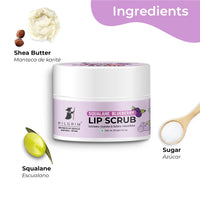 Pilgrim Squalane Lip Scrub (Pack of 2 Blueberry) for Women & Men for Smooth Lips |Lip Scrub for Dark Lips |Lip Scrub with Sugar & Shea Butter for gentle exfoliation, hydrated, smooth & soft lips.