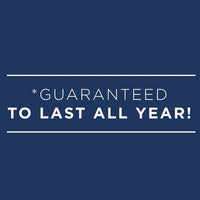 AT-A-GLANCE 2024 Daily Planner, DayMinder, Quarter-Hourly Appointment Book, 5