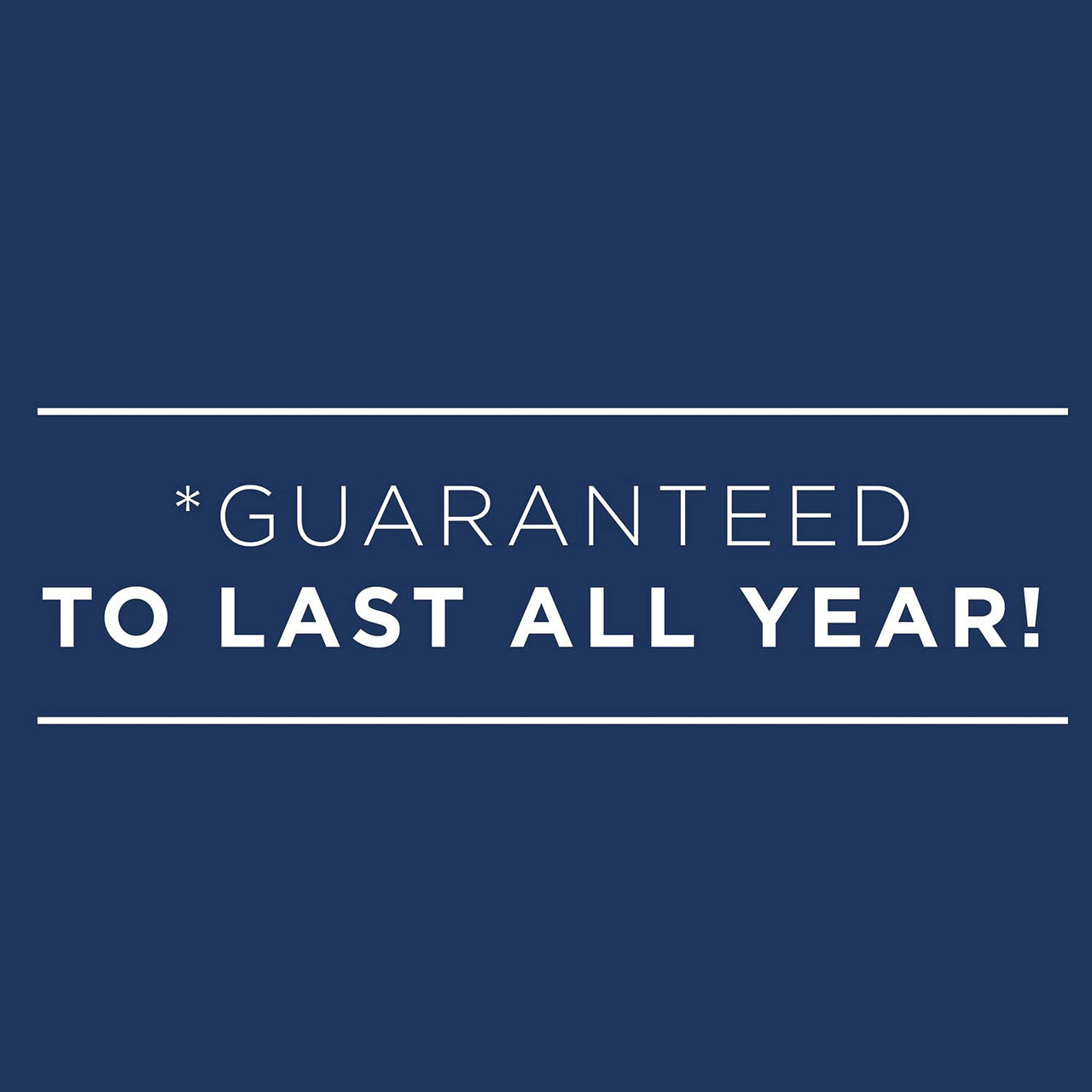 AT-A-GLANCE 2024 Daily Planner, Quarter-Hourly Appointment Book, 5" x 8", Small, Black (708000524)