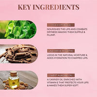 Just Herbs Ayurvedic Liquid Lipstick Kit Set of 5 with Long Lasting Matte Finish, Hydrating & Lightweight Lip Colour, Deeps & Reds - Paraben & Silicon Free - 5 ml