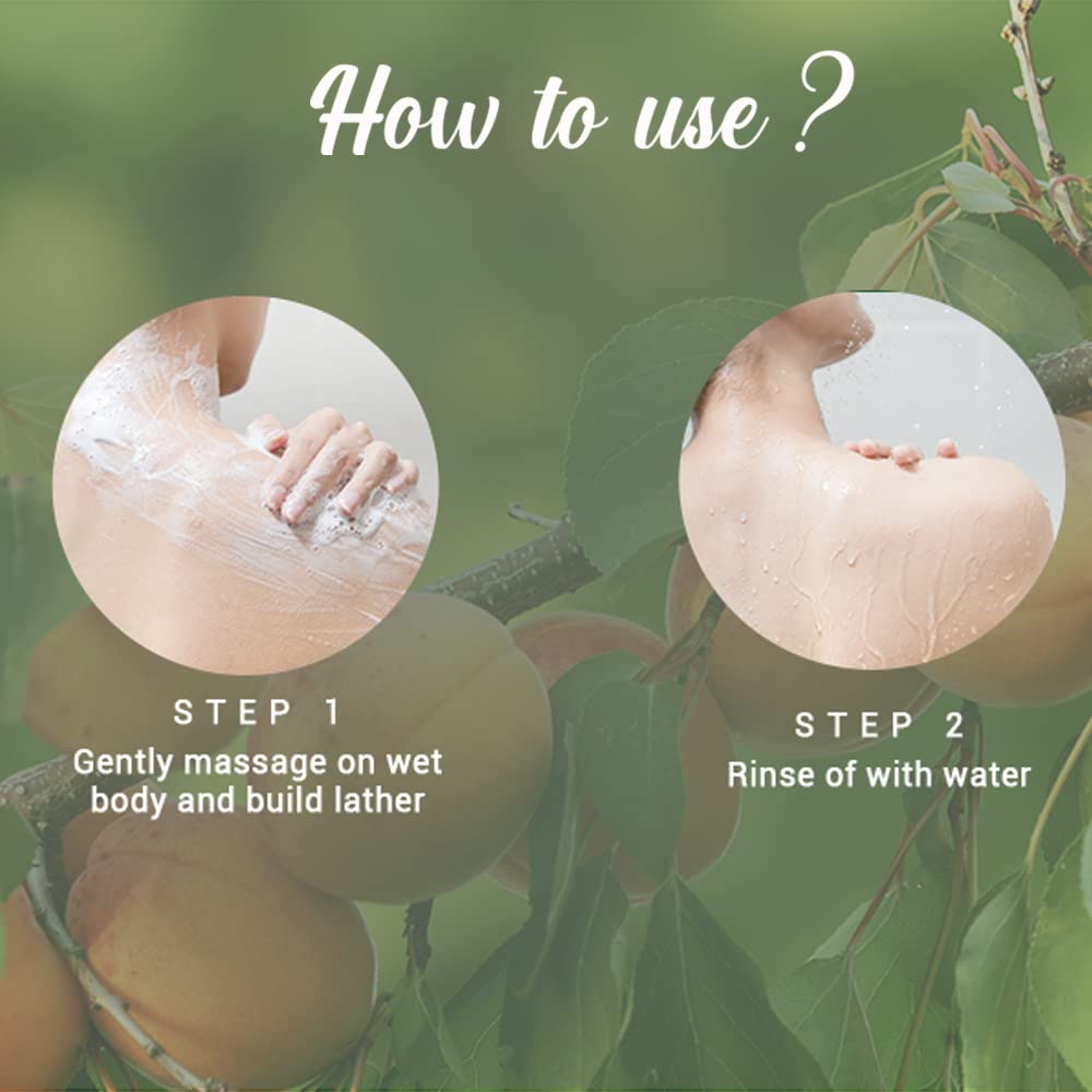 Biotique Bio Apricot Refreshing Body Wash | Keeps Skin Fresh and Clean | Brightens Skin and Reducing Dark Spots | 100% Botanical Extracts | Suitable for All Skin Types | 200ml (Pack of 4)