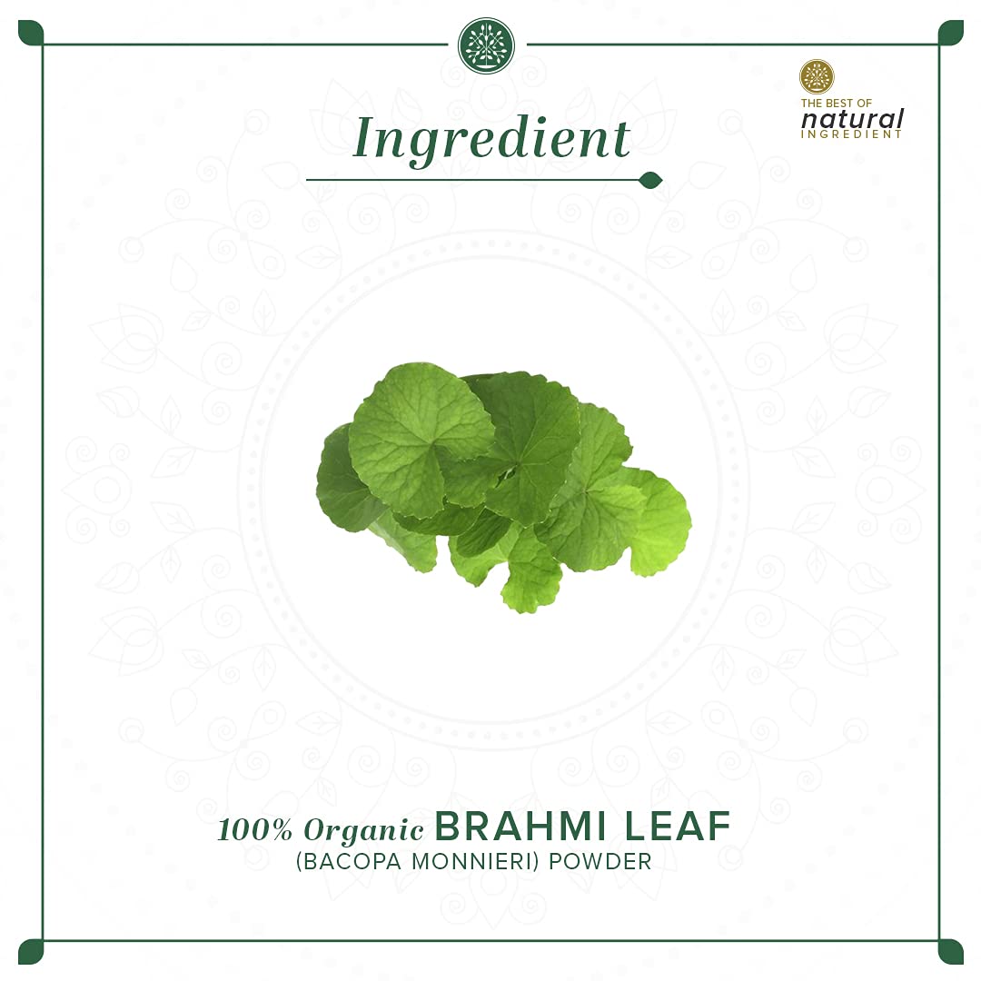 KHADI NATURAL Brahmi Leaf Organic Powder Pack of 2 (2x100gm) 200gm